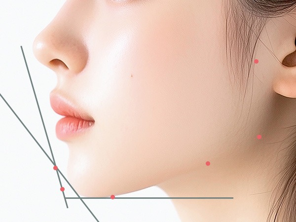 에그볼륨 페이스·바디 필러 페이스 바디 에그 볼륨