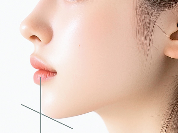 에그볼륨 페이스·바디 필러 페이스 바디 에그 볼륨
